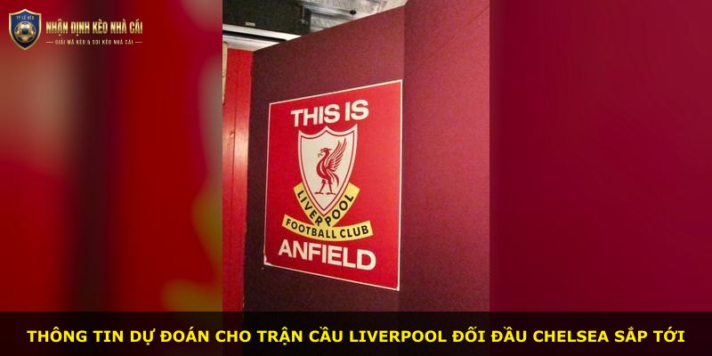 Thông tin dự đoán cho trận cầu Liverpool đối đầu Chelsea sắp tới