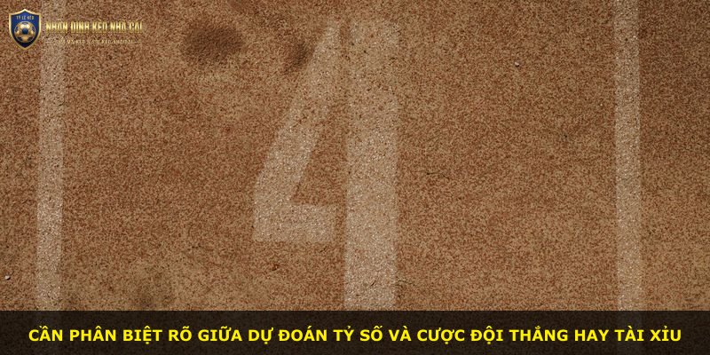 Cần phân biệt rõ giữa dự đoán tỷ số và cược đội thắng hay tài xỉu