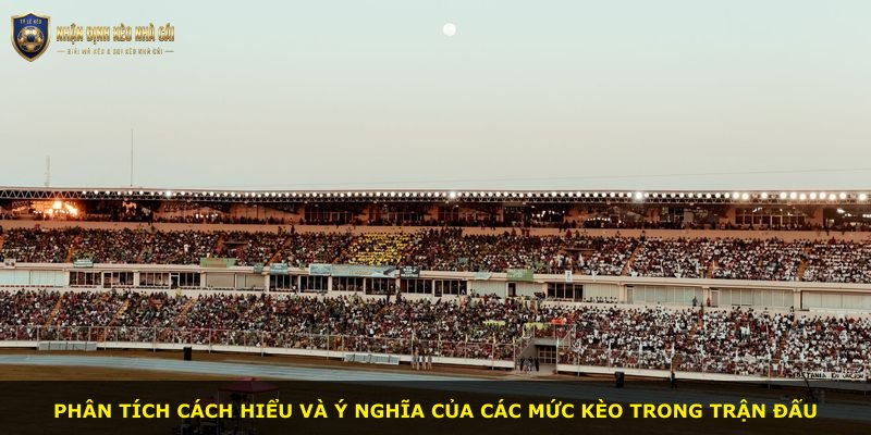 Phân tích cách hiểu và ý nghĩa của các mức kèo trong trận đấu