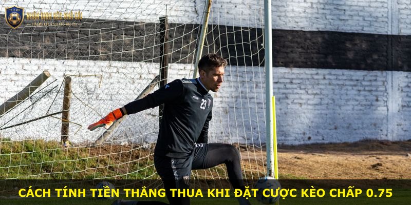 Cách tính tiền thắng thua khi đặt cược kèo chấp 0.75