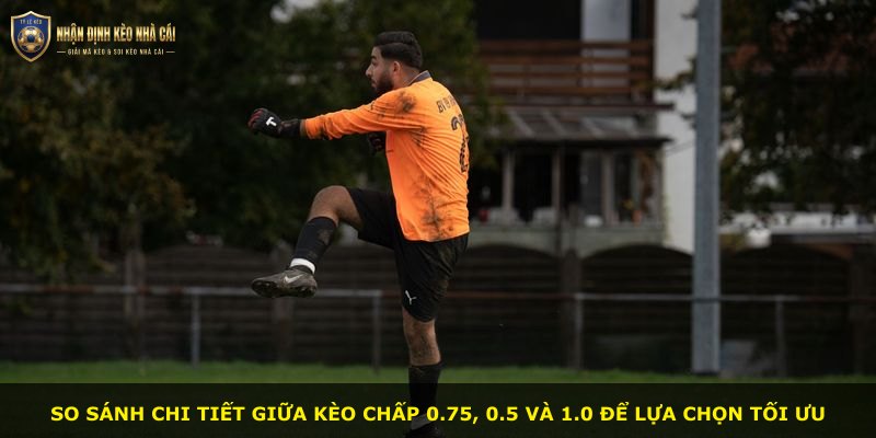 So sánh chi tiết giữa kèo chấp 0.75, 0.5 và 1.0 để lựa chọn tối ưu