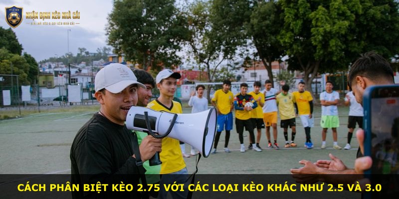 Cách phân biệt kèo 2.75 với các loại kèo khác như 2.5 và 3.0