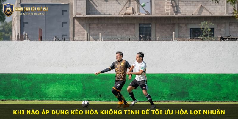 Khi nào áp dụng kèo hòa không tính để tối ưu hóa lợi nhuận