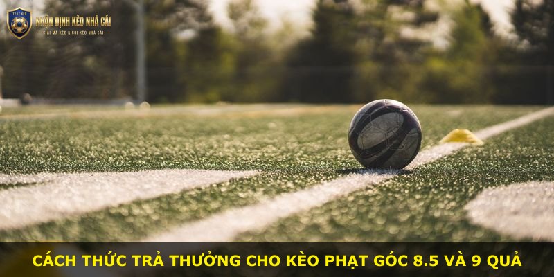 Cách thức trả thưởng cho kèo phạt góc 8.5 và 9 quả