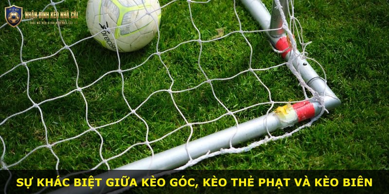 Sự khác biệt giữa kèo góc, kèo thẻ phạt và kèo biên