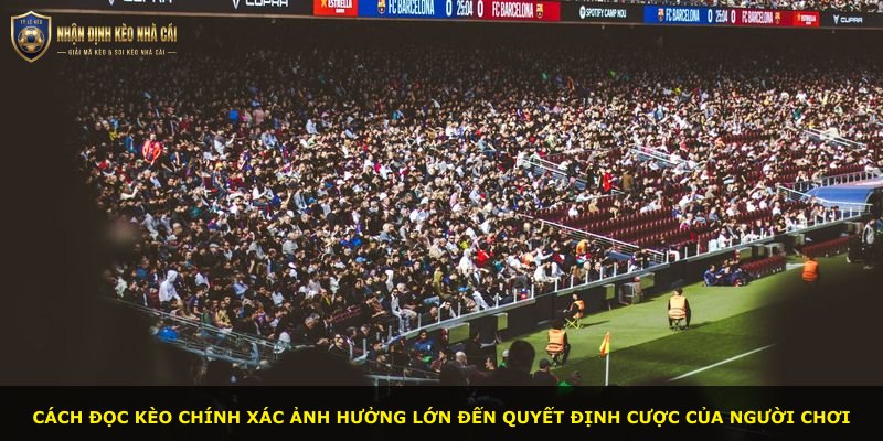 Cách đọc kèo chính xác ảnh hưởng lớn đến quyết định cược của người chơi