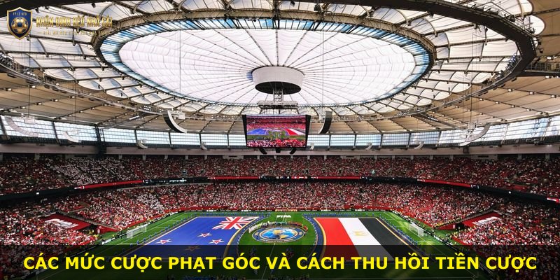 Các mức cược phạt góc và cách thu hồi tiền cược