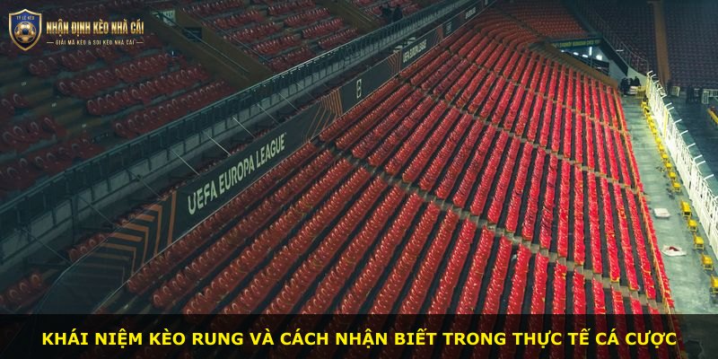 Khái niệm kèo rung và cách nhận biết trong thực tế cá cược
