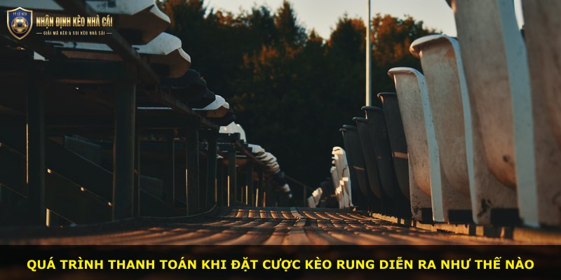 Quá trình thanh toán khi đặt cược kèo rung diễn ra như thế nào