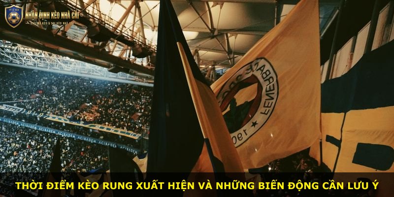 Thời điểm kèo rung xuất hiện và những biến động cần lưu ý