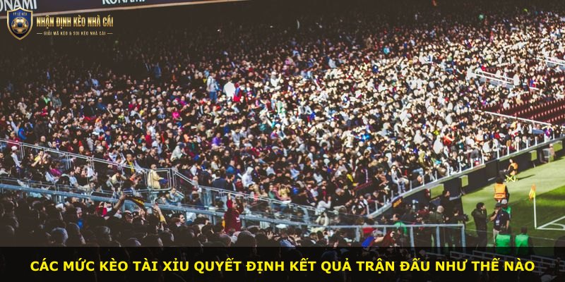 Các mức kèo tài xỉu quyết định kết quả trận đấu như thế nào