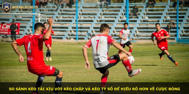 So sánh kèo tài xỉu với kèo chấp và kèo tỷ số để hiểu rõ hơn về cược bóng