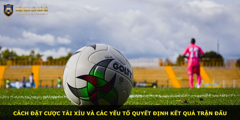 Cách đặt cược Tài Xỉu và các yếu tố quyết định kết quả trận đấu