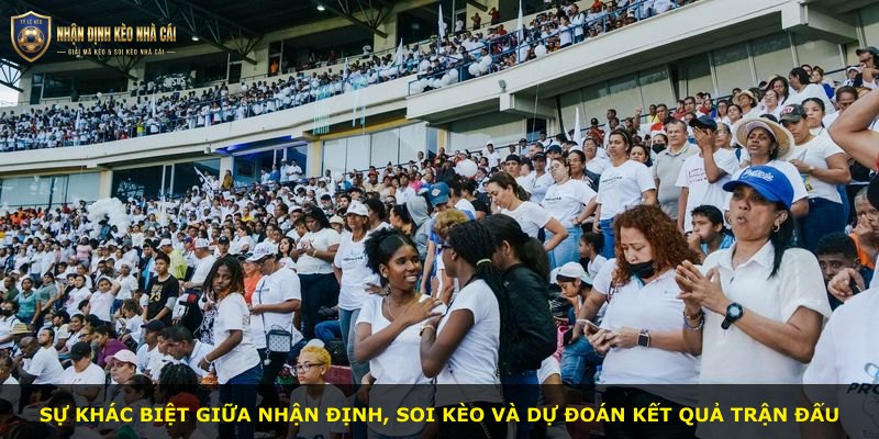 Sự khác biệt giữa nhận định, soi kèo và dự đoán kết quả trận đấu