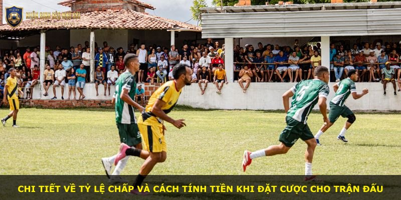 Chi tiết về tỷ lệ chấp và cách tính tiền khi đặt cược cho trận đấu
