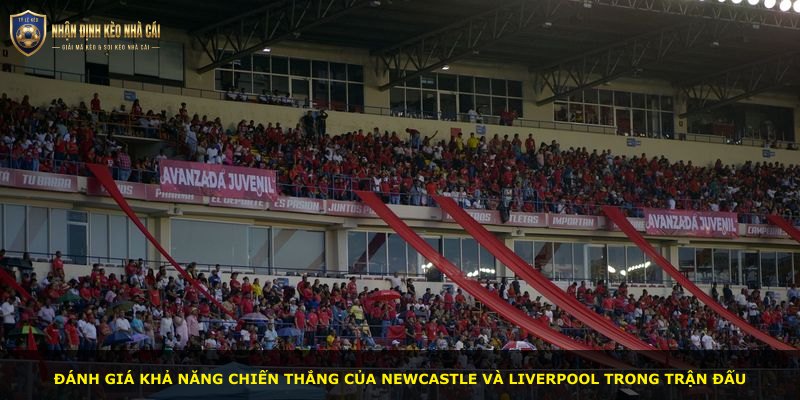 Đánh giá khả năng chiến thắng của Newcastle và Liverpool trong trận đấu