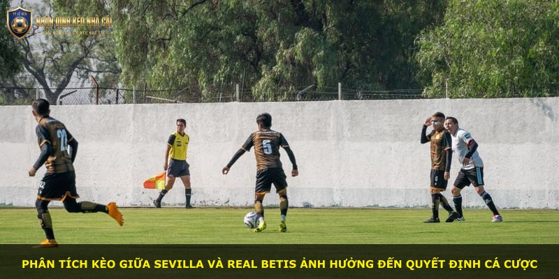 Phân tích kèo giữa Sevilla và Real Betis ảnh hưởng đến quyết định cá cược