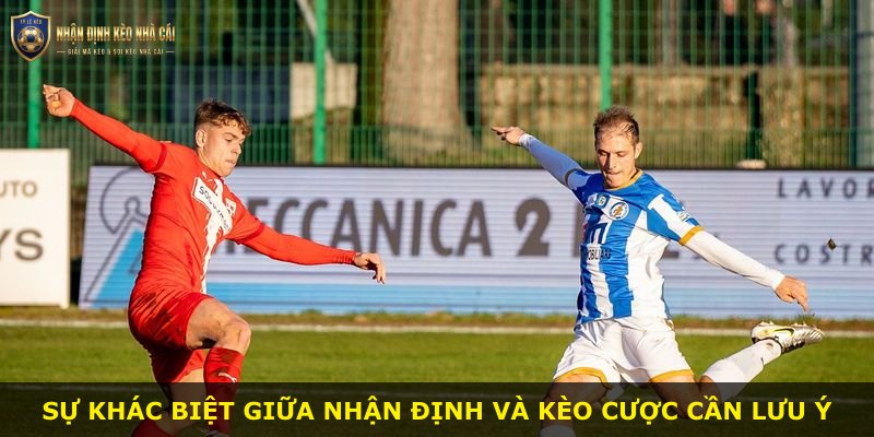 Sự khác biệt giữa nhận định và kèo cược cần lưu ý