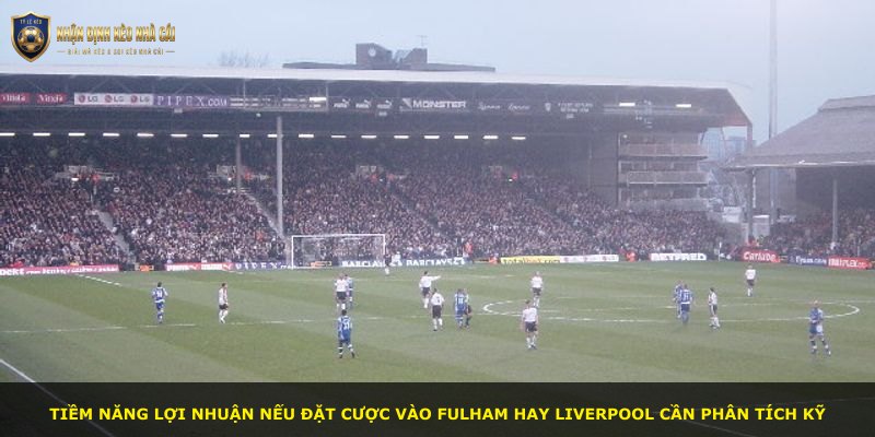 Tiềm năng lợi nhuận nếu đặt cược vào Fulham hay Liverpool cần phân tích kỹ