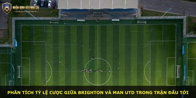 Phân tích tỷ lệ cược giữa Brighton và Man Utd trong trận đấu tới