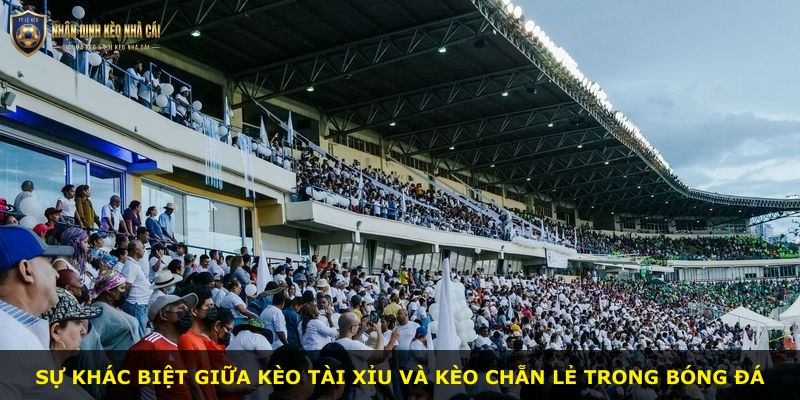 Sự khác biệt giữa kèo tài xỉu và kèo chẵn lẻ trong bóng đá