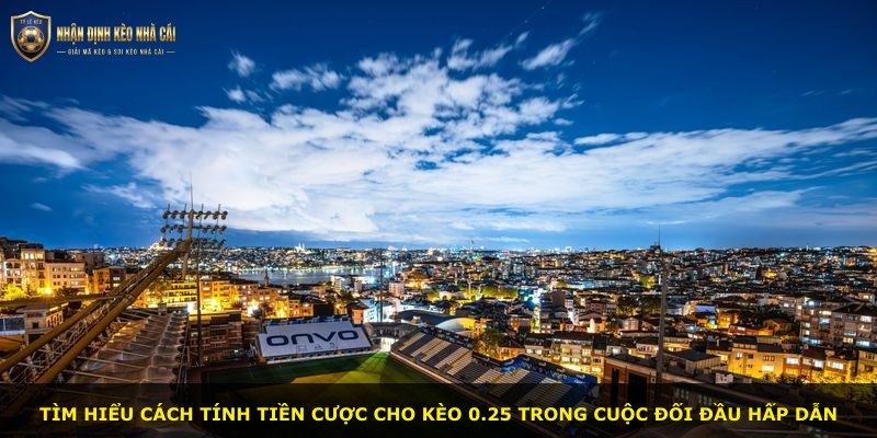 Tìm hiểu cách tính tiền cược cho kèo 0.25 trong cuộc đối đầu hấp dẫn