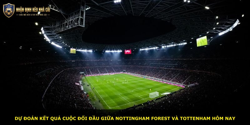 Dự đoán kết quả cuộc đối đầu giữa Nottingham Forest và Tottenham hôm nay