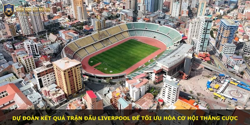 Dự đoán kết quả trận đấu Liverpool để tối ưu hóa cơ hội thắng cược