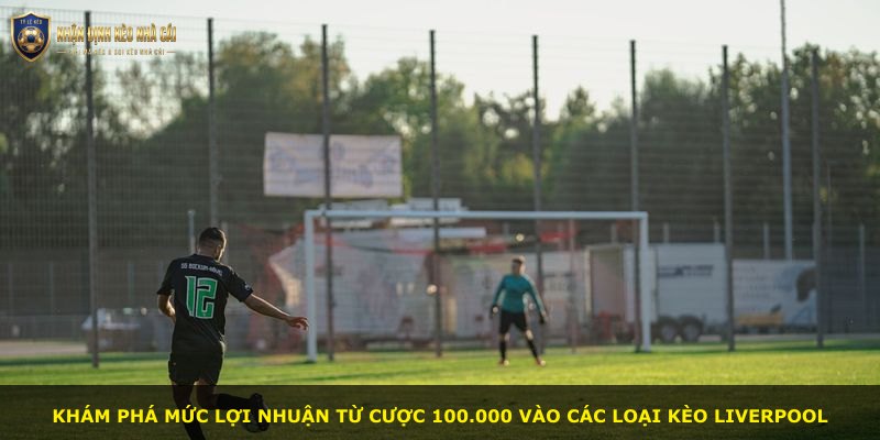 Khám phá mức lợi nhuận từ cược 100.000 vào các loại kèo Liverpool