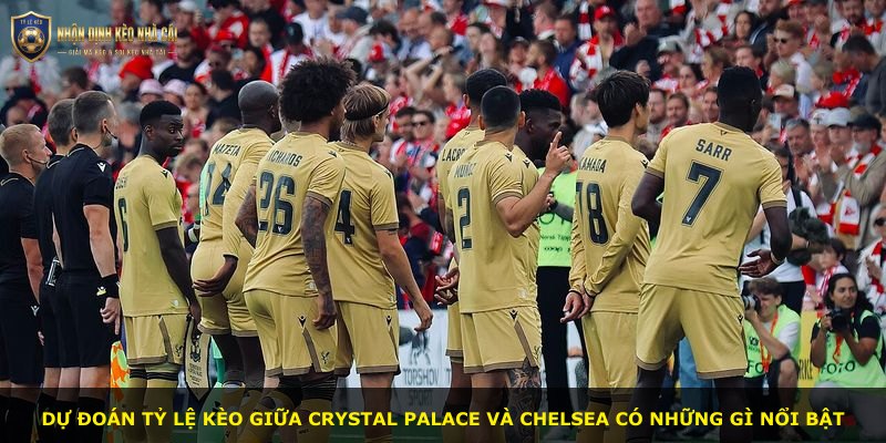 Dự đoán tỷ lệ kèo giữa Crystal Palace và Chelsea có những gì nổi bật