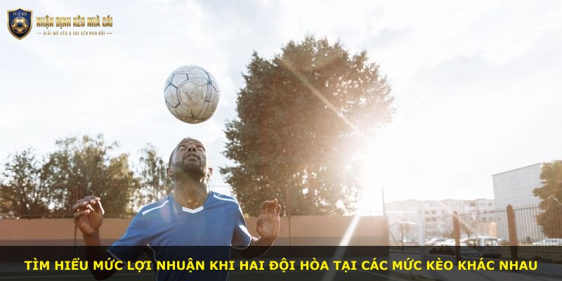 Tìm hiểu mức lợi nhuận khi hai đội hòa tại các mức kèo khác nhau