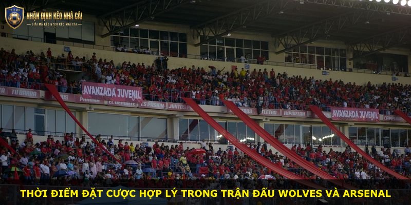 Thời điểm đặt cược hợp lý trong trận đấu Wolves và Arsenal