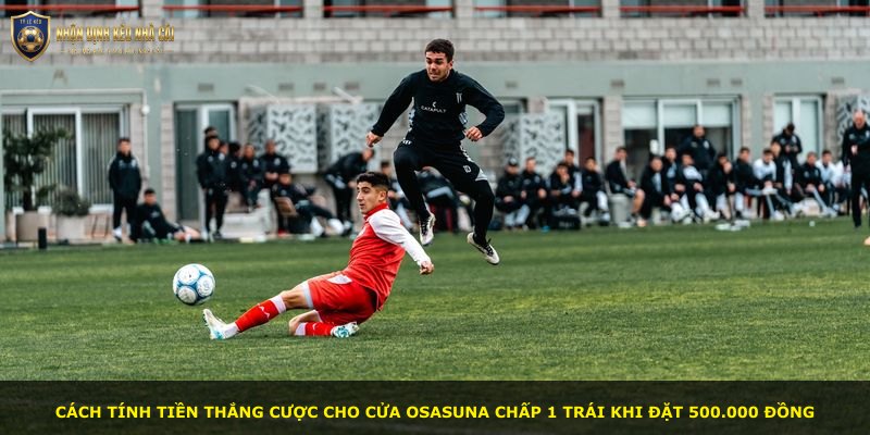 Cách tính tiền thắng cược cho cửa Osasuna chấp 1 trái khi đặt 500.000 đồng