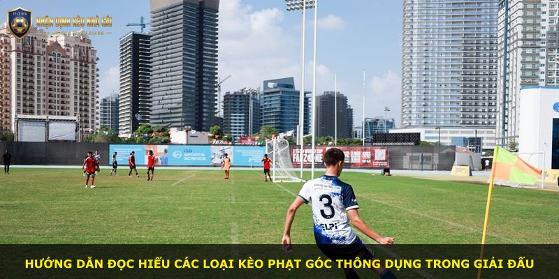 Hướng dẫn đọc hiểu các loại kèo phạt góc thông dụng trong giải đấu