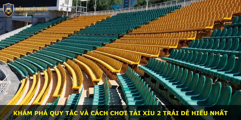 Khám phá quy tắc và cách chơi Tài Xỉu 2 Trái dễ hiểu nhất