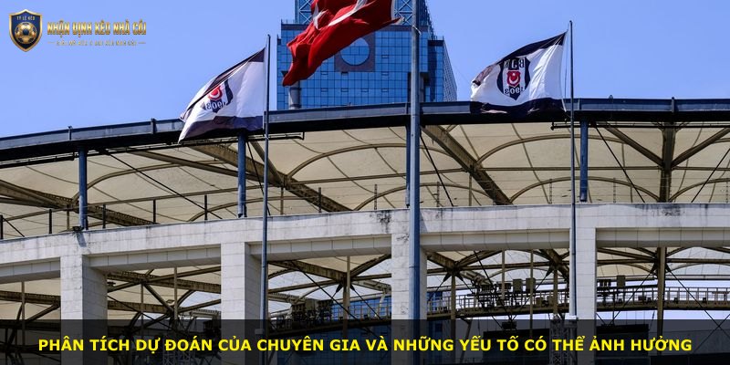 Phân tích dự đoán của chuyên gia và những yếu tố có thể ảnh hưởng