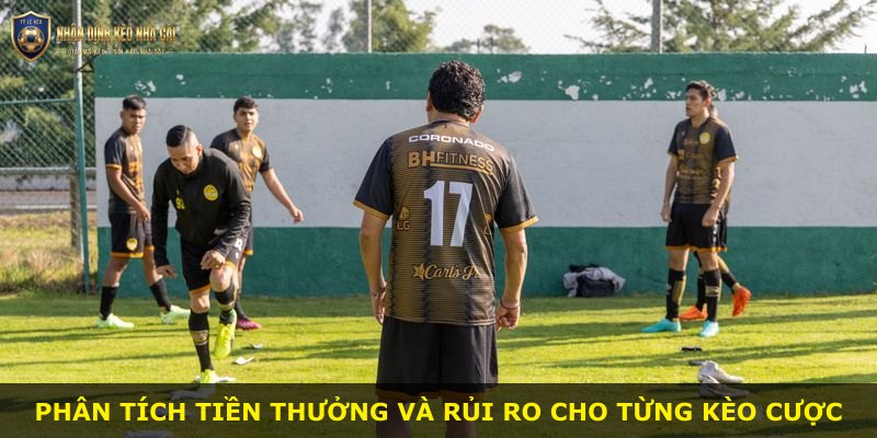 Phân tích tiền thưởng và rủi ro cho từng kèo cược