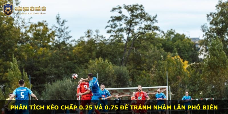 Phân tích kèo chấp 0.25 và 0.75 để tránh nhầm lẫn phổ biến
